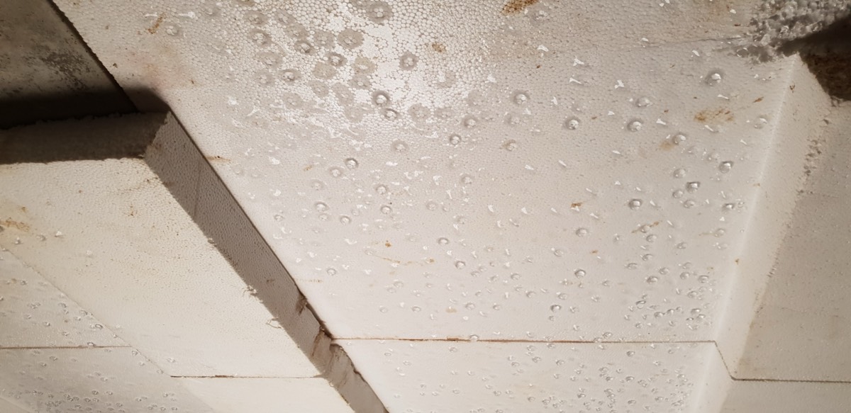 Condensation - Expertise humidité à Albi