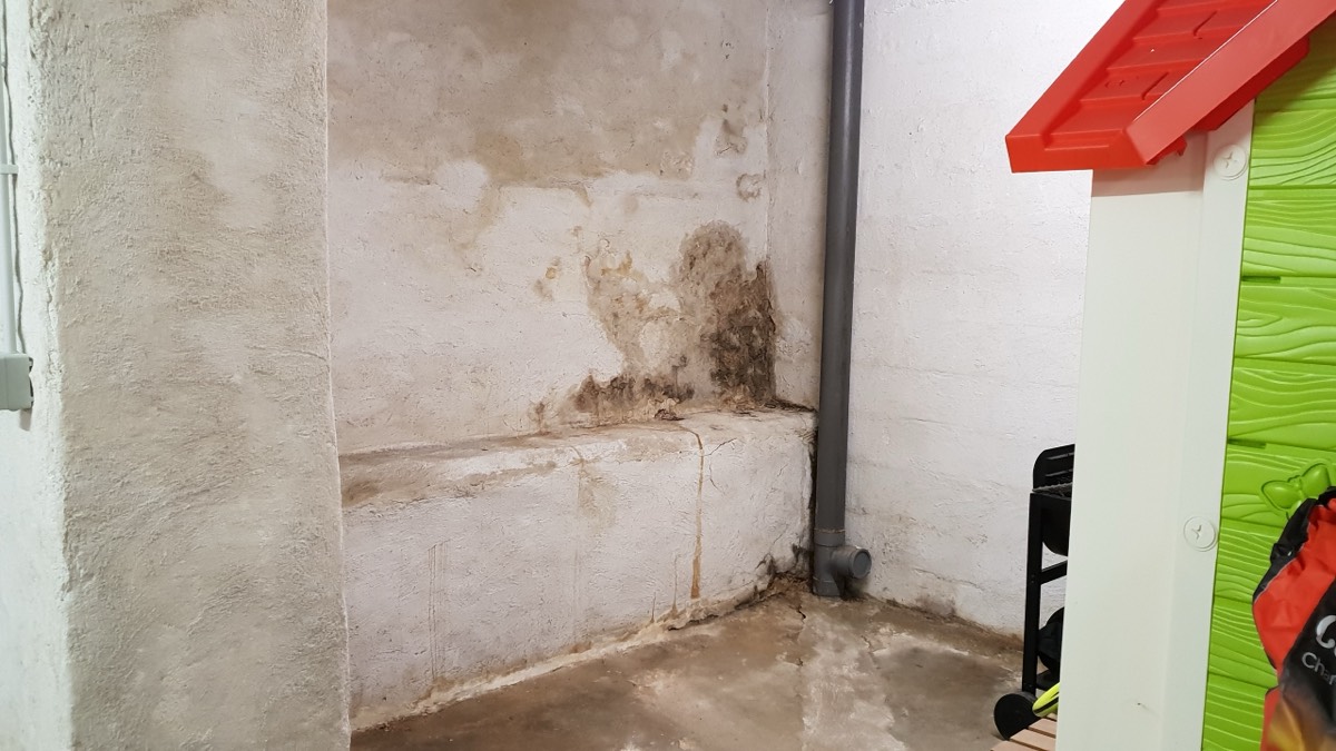 Infiltrations d'eau - Expertise humidité à Albi